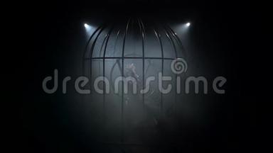 空中体操运动员在笼子里的舞台上表演鸟类服装的技巧。 黑色背景。 剪影